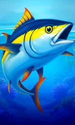 Big Boat Big Catch